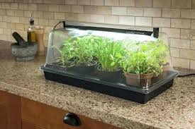 Are you willing to start a diy indoor garden; 11 Original Creative Diy Mini Indoor Greenhouses