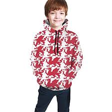 Eyskj Teens Hooded Sweate Red Welsh Dragon Boys Casual Hoodies Pocket Hooded Sweatshirt 7 20y
