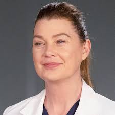 Grey's Anatomy': E.R. Fightmaster