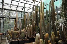 Hours, address, botanischer garten reviews: Botanischer Garten Bochum Kakteen Und Sukkulenten 1 Dusseldorf