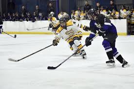 The Blue Line Report: Preaching Patience; Quinlan feels good times lie  ahead for young Fenwick squad