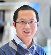 Estrogen-regulated brain circuit helps females control obesity