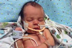 Fundraiser for May Shannon by Britt Klein : Ethan's Drive to Thrive!