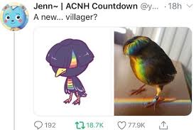 Precious Birb Animal Crossing Villagers Animal Crossing Funny Animal Crossing Fan Art