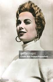 570 Hyer Stock Photos, High-Res Pictures, and Images