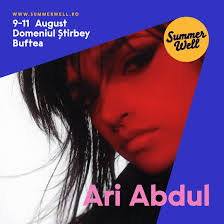 Summer Well 2024 • Zile și Nopți