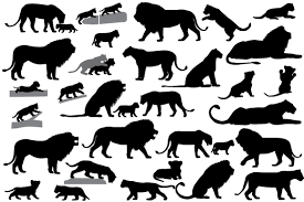 Free Free 123 Baby Lion Cub Svg SVG PNG EPS DXF File