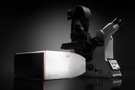 Wann wurde das mikroskop erfunden&quest; Konfokalmikroskope Produkte Leica Microsystems