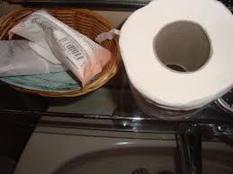 A stick, much like a smooth rock, isn't the ideal toilet paper alternative but if you have nothing else, remove the bark and do what you gotta do! No Tissue Paper Instead We Had To Use Toilet Paper Picture Of Hotel Julia Rome Tripadvisor