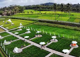 Bubble spot magelang merupakan area buat nongkrong bersama sahabat, tempatnya yang kekinian sangat pas untuk selera anak muda maupun buat keluarga. Chass9416