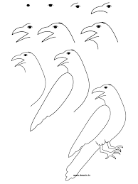 drawing raven owls easy drawings coloriage de types plis origami