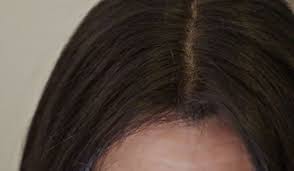 Cover Gray Hair With Demi Permanent Hair Color The Rapp Report Covering Gray Hair Semi Permanent Hair Color Hair Gloss