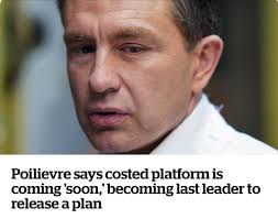 The Conservative platform is like the longest ad for contacts you've ever  seen. It has 17 photos of Pierre. They appear