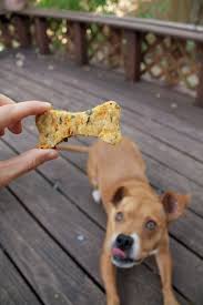 They are plentiful, inexpensive and comes in hundreds of shapes and sizes. Breath Freshing Biscuits For Dogs 3 4 C Minced Parsley Leaves 1 4 Grated Carrot 1 Tbsp Vegetable Oil 3 4 Vegan Dog Homemade Pet Treats Pet Treats Recipes