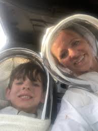 Identify displaced bee swarm or hidden hive?