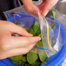 Losyen halia plus limau purut. Ini Kegunaan Daun Limau Purut Dalam Masakan