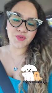 🐻‍❄ De verdad los animales...