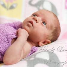 Mandy Lammers Photography