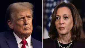 What do polls tell us about a Trump v. Harris matchup?