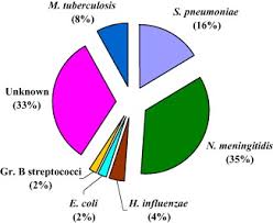 Meningitis is a disease caused by the inflammation of the protective membranes covering the brain and spinal cord known as the meninges. Epidemiology Of Meningitis In Al Ain United Arab Emirates 2000 2005 Sciencedirect