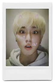 Vanessa Horta (vanessahorta26)