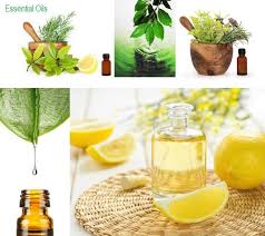 Στο κατάστημα μας θα βρείτε μεγάλη ποικιλία από έλαια όπως φυτικά έλαια, αιθέρια έλαια και μείγματα μασάζ που θα καλύψουν όλες τις ανάγκες σας. Arwmato8erapeia Kai Ai8eria Elaia Www Aggelaki Gr