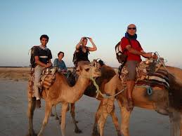 Read reviews from world's largest community for readers. Camel Riding
