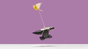 Have you had your fair share of accidents and injuries because you just had to try something out? How To Play To Your Strengths