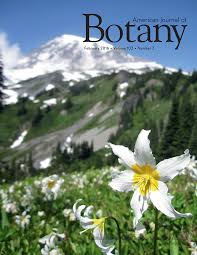 Image result for Magnistipula butayei