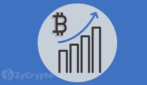 But this pullback could just be temporary, and there are some that are. Over 25 000 Bitcoin Addresses Were Created Within An Hour What This Means Zycrypto