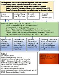 Image result for Somatization Management