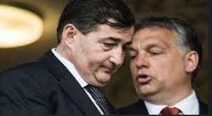 VAJON MIÉRT .....?!**