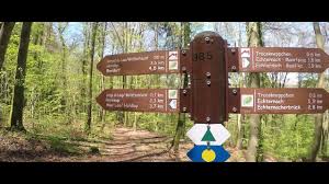 The mullerthal trail in luxembourg is one of the most underrated hikes in europe, leading through lush green forests and unique rock formations. Trek 2019 Mullerthal Trail Route 2 Youtube