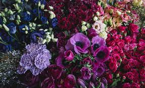 We don't know flowers by carole's story by heart. Carole Langley Florist Chingford Order Online Or 02085294130