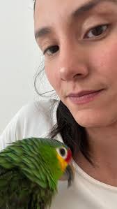 Un Loro siendo loro 🦜 #lomejornuncasesube