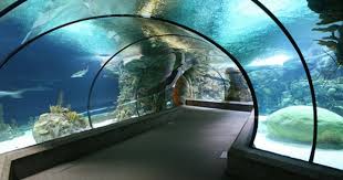 Pin By Shane Snider On Places I Ve Been Travel Nebraska Omaha Zoo Places To Travel