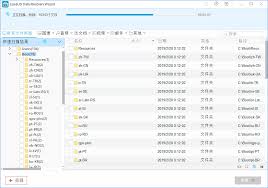 EaseUS Data Recovery Wizard v12.0.0 中文绿色便携版- 易破解