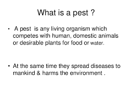 In a short essay, explain how and why marketers go beyond selling a product or service to create they give consumers a greater voice, and therefore greater power and control in the marketplace. Pest Control