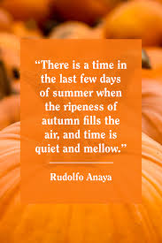 I'm free to be what i want. 55 Best Fall Quotes 2020 Inspirational Autumn Quotes For Instagram