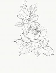 Draw A Rose Wikihow If you don't have a green thumb, you can still create a rose on paper.