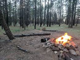 Located in the heart of grand canyon village, mather campground is close to the most popular south rim trailheads. Forest Road 302 In Kaibab National Forest Grand Canyon Arizona See 27 Traveler Reviews 58 Photos And 1 Forest Road Grand Canyon Camping Grand Canyon Arizona