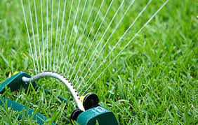 Follow these instructions to keep brown patches from cropping up in your yard. What Is The Proper Amount To Water My Grass And When Eco Green