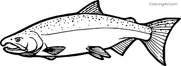 Download Rainbow Trout Coloring Page Coloringall