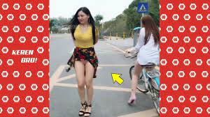 Felis silvestris catus atau felis catus) adalah sejenis mamalia karnivora dari keluarga felidae.kata kucing biasanya merujuk kepada kucing yang telah dijinakkan, tetapi bisa juga merujuk kepada kucing besar seperti singa dan harimau. Kocak Abis Video Lucu Cina Bikin Ngakak P 8 Video Gokil Terbaru 2019 Youtube