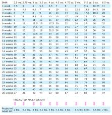 Yorkie Weight Chart To Estimate Adult Size Of Tiny Teacup