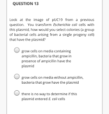 Use an awareness of body. Solved Question 1 A Organisms That Contain Functional Re Chegg Com