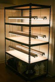 While lights aren't necessary for germinating seeds (just some warm, moist soil), a good light source is essential for growing seedlings. Simple Diy Grow Light Stand For Indoor Seed Starting Lady Lee S Home