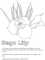 Aliexpress carries wide variety of products. Sego Lily Coloring Page
