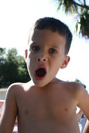 Robin Searles's Instagram, Twitter & Facebook