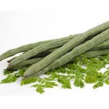 Maybe you would like to learn more about one of these? Pokok Kelor Moringa Munggai Lemunggai Shopee Malaysia